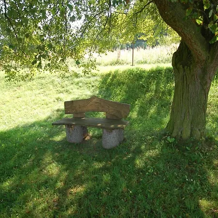 Dom wakacyjny Holiday Stechovice/bohmerwald 1527